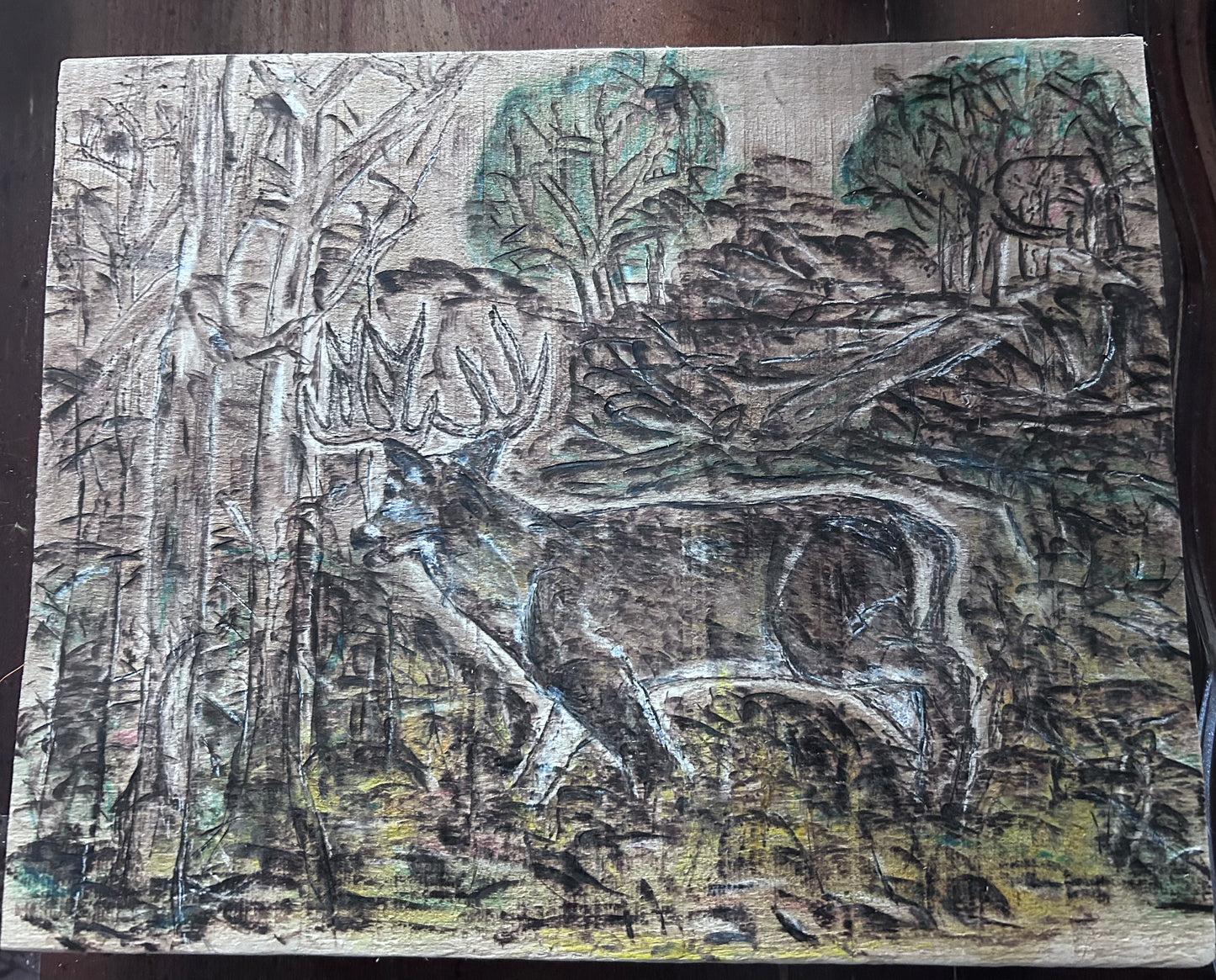 “Cedar Valley Rub Line” Woodburning Art With Watercolor