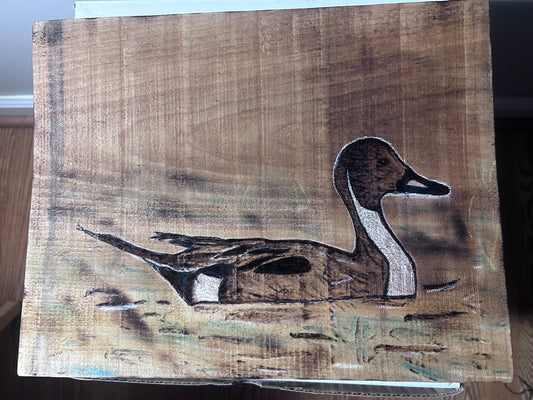 Pintail Duck WoodBurning Art On SawMill Poplar